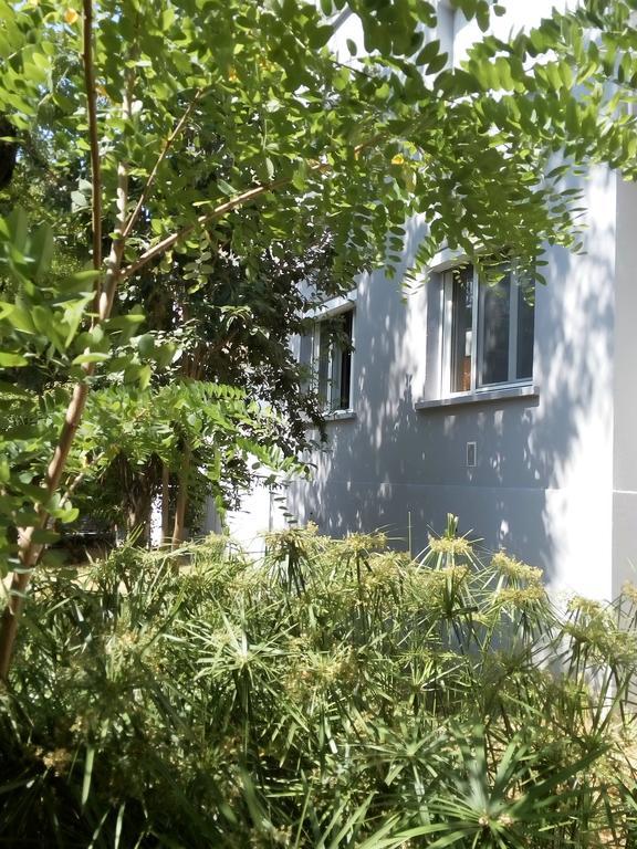 Grand Studio Proche Transport Montpellier Kültér fotó
