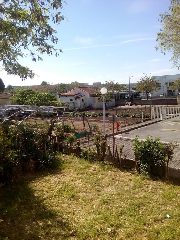 Grand Studio Proche Transport Montpellier Kültér fotó