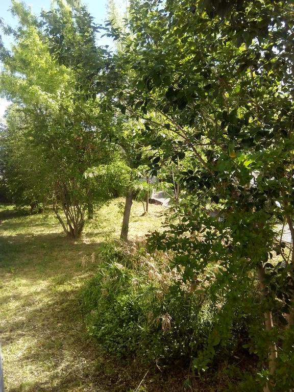 Grand Studio Proche Transport Montpellier Kültér fotó
